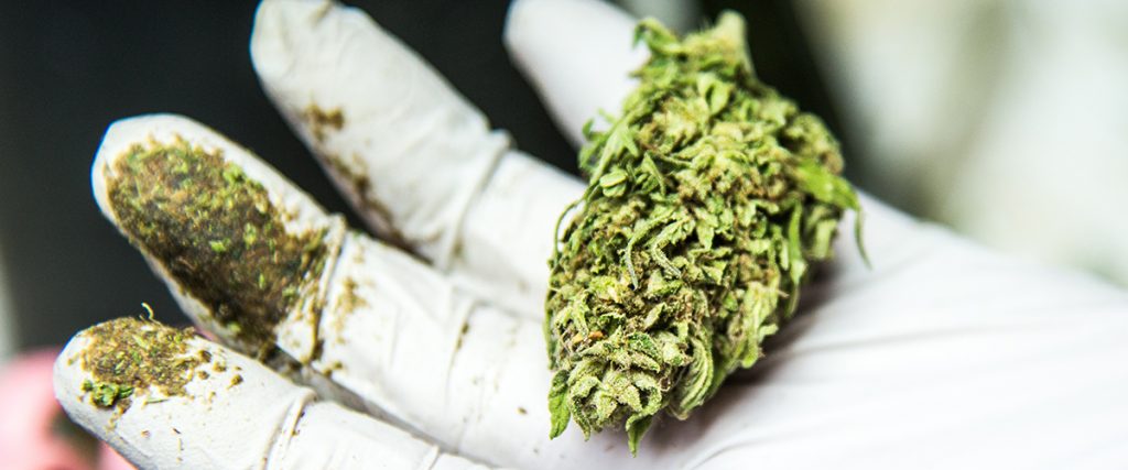 growing-demand-medical-marijuana-connecticut-add-least-3-new-marijuana-dispensaries