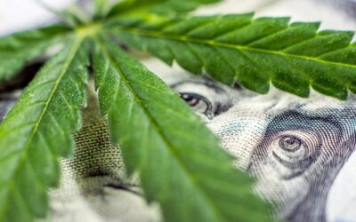 california opens recreational marijuana market