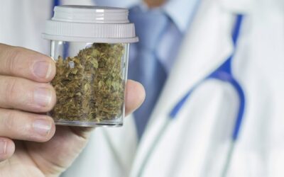 medical marijuana fight continues rohrabacher blumenauer effect january 19