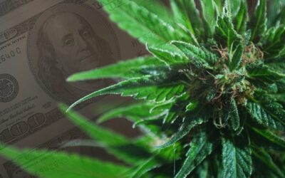 nationwide marijuana legalization worth 132b tax revenue 1 million jobs